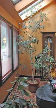 atrium before staging