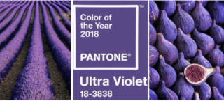 Ultra Violet Pantone Color of the Year