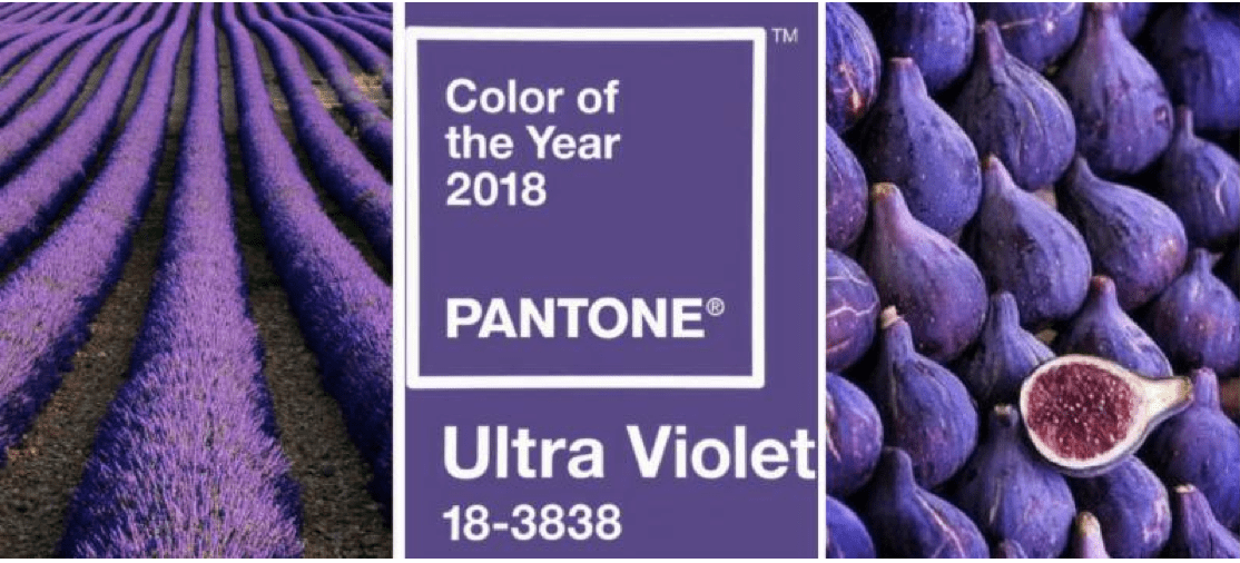 home staging accent color purple